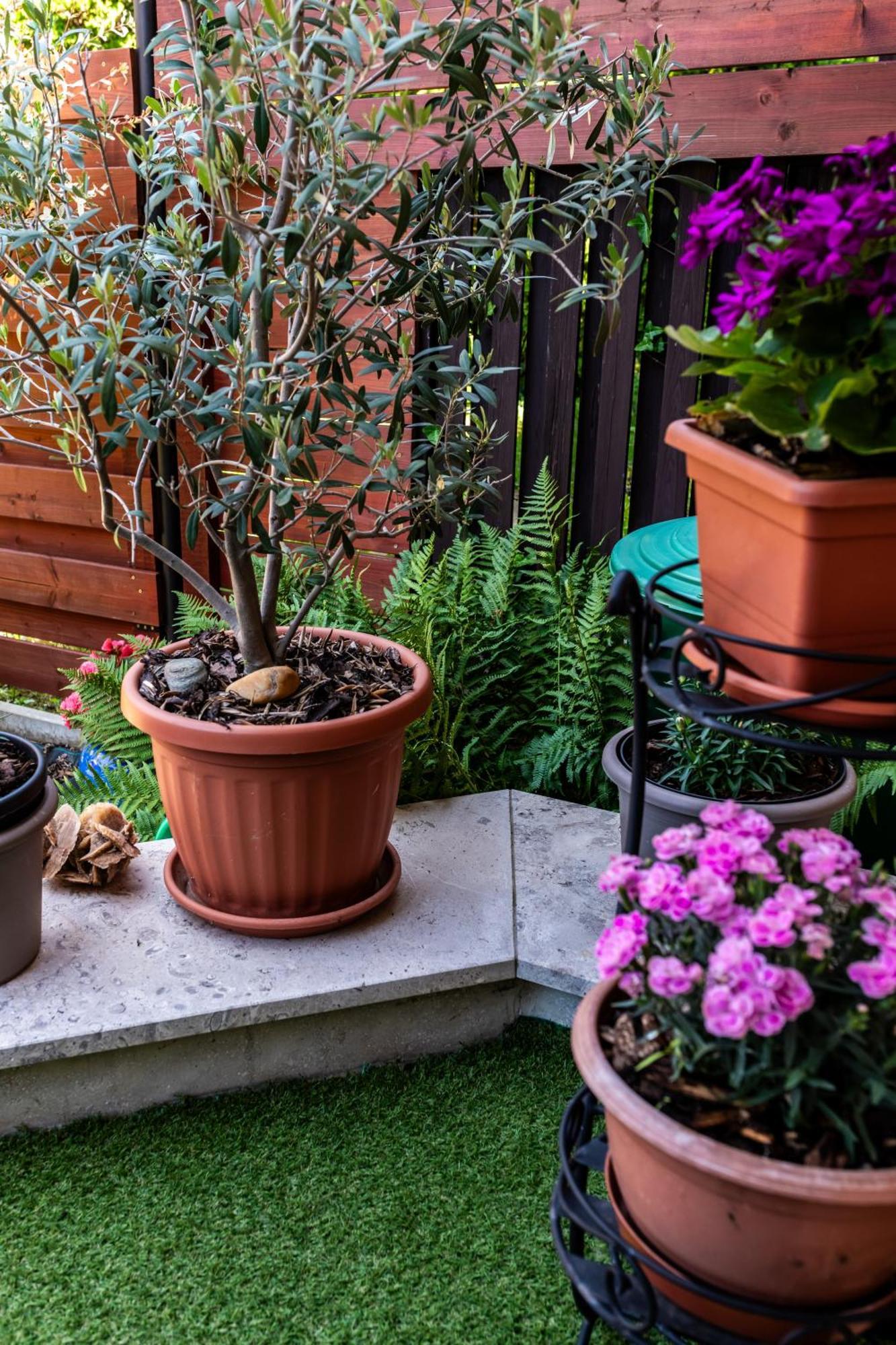 Flower Apartment Hévíz Εξωτερικό φωτογραφία